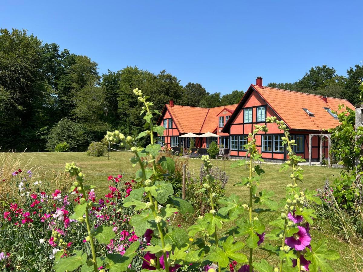 Villa Hasselbacken Gärsnäs Esterno foto