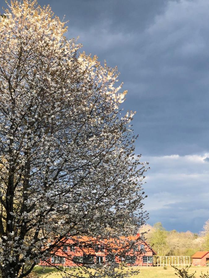 Villa Hasselbacken Gärsnäs Esterno foto