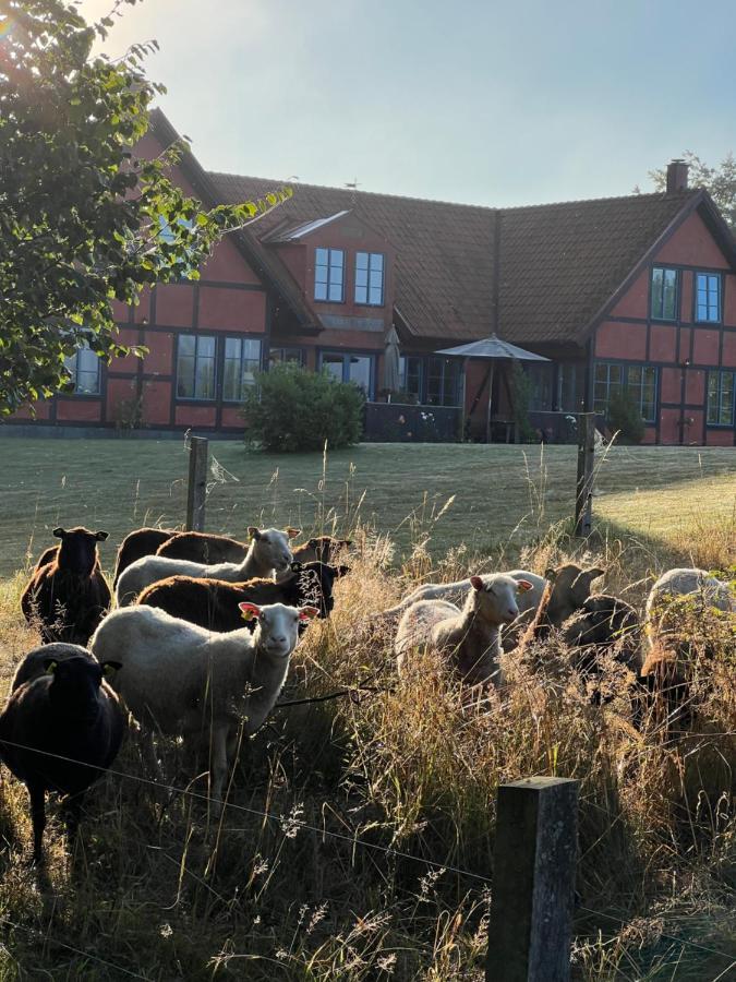 Villa Hasselbacken Gärsnäs Esterno foto